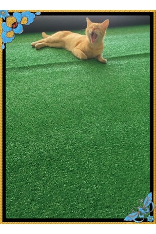 Çim Halı Suni Yapay 7 Mm.