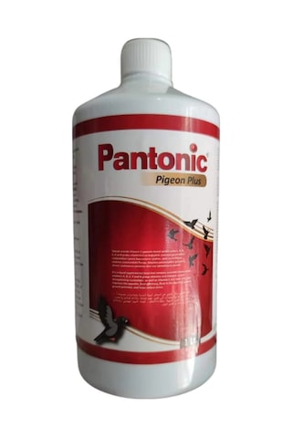 Royal Pantonic Pigeon Plus 1 Lt Güvercin Ve Kafes Kuşları Için Multivitamin Royal Pantonic Pigeon Plus 1 Lt Güvercin Ve Kafes Kuşları Için Multivitamin