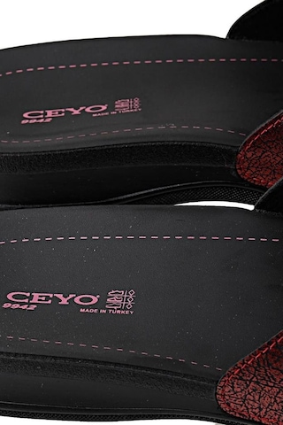 Ceyo 9942-1 Gecme Bant Altın Kadın Terlik Bordo
