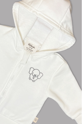 Bebek/cocuk Nakış Detaylı Fermuarlı Sweatshirt Gri