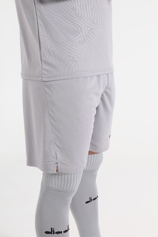 Diadora Elite Futbol Kaleci Forma Şortu Gri