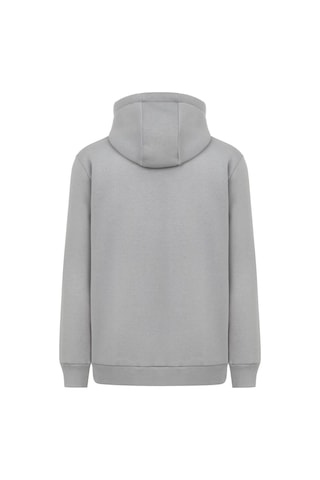 Mysport My Sport 5017 Erkek Yumuşacık Kapüşonlu Organik Pamuk Kanguru Cepli Açık Gri Sweatshirt Açık Gri