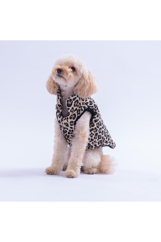 Mbeya Gold Leopar Desen Yelek Köpek Yeleği Köpek Kıyafeti Köpek Yağmurluk