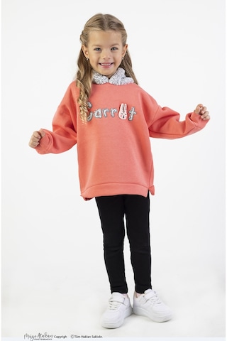 Harika Kids Kız Çocuk Kumaş Orta Kalınlıkta Caretta Nakış Örme Basic Taytlı Alt Üst Takımı 001