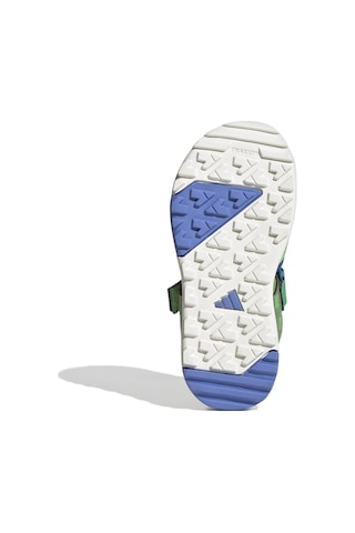 Adidas Selulı/rayblu/seımor Terrex Captaın Toey 2.0 Mcft K Yeşil
