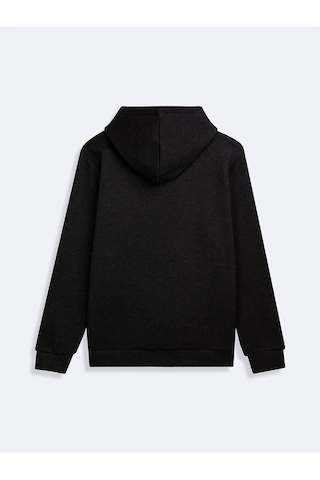 Ltb Rıgoma Erkek Kapişonlu Sweatshirt Antrasit