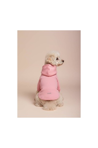 Kapüşonlu Kedi Köpek Kıyafeti Sweatshirt Hoodie Evcil Hayvan Giysisi