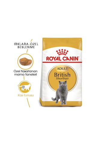 Royal Canin British Shorthair Adult Kedi Kuru Maması 2 Kg