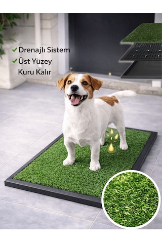 Beylini Köpek Çim Tuvalet Matı Pet Kedi Plastik Havuzlu Drenajlı Kaka Çiş Ped Halısı Hijyenik Paspas Köpek Tuvalet Eğitim Parkı Tuvalet Çiş Eğitimi 50 x 75 CM