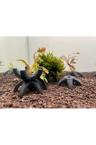 5 Adet Siyah Renk Akvaryum Karides Barınağı Yıldız Formlu D