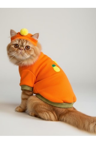 Kemique Pineapple And Ice Cream Turuncu Haki Kedi Polar Sweatshirt Ve Bere Takım Kedi Kıyafeti