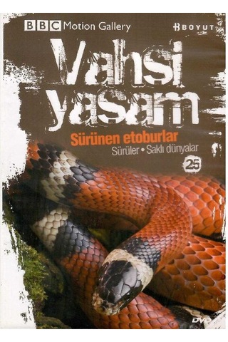 Bbc Motion Gallery - Vahşi Yaşam Sürünen Etoburlar Sürüler Saklı Dünyalar - Dvd