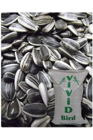 Vivid Küçük Çekirdek Tuzsuz 1kg Praket