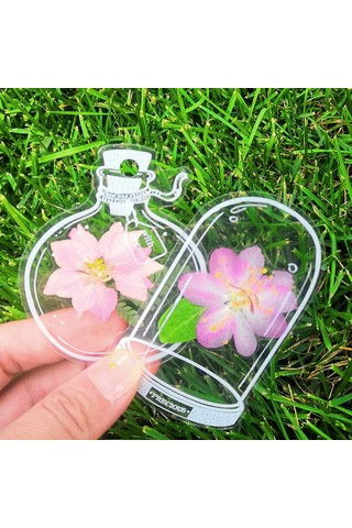 Dianziye Öğrenci Ve Çocuklar İçin El Yapımı Bitki Örnekleri Yapım Seti - Şeffaf Malzeme, Paslanmaz Çelik Pinçer Ve Sütlü Boyalar