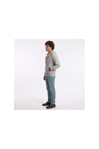Levi's Rahat Kesim Kapüşonlu Fermuarlı Sweatshirt Relaxed Graphic Zip-up Hoodie A. Gri