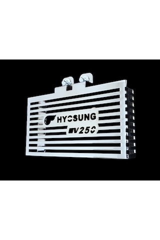 Hyosung Gv 250 Radyator Koruma