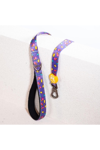 Ice Cream Leash Kedi Köpek Sevk & Gezdirme Kayışı Köpek Uzatma Tasması-1,5cm Mor