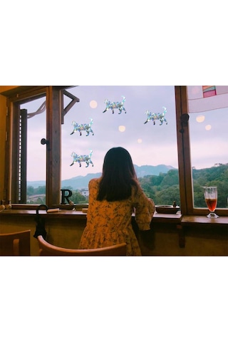 Suntek 4x Pencere Çıkartmaları Prizma Statik Sarılmak Kuşlar