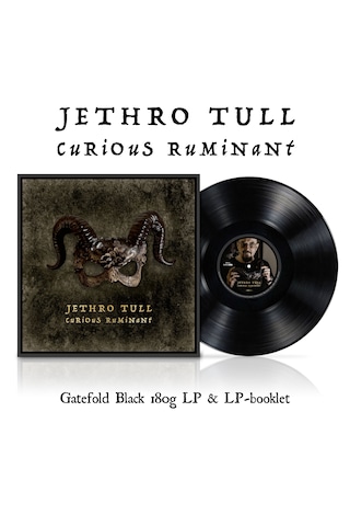 Jethro Tull - Curious Ruminant / Plak