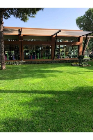 6 Karışımlı Dört Mevsim Ekilen Çim Tohumu 5 Kğ