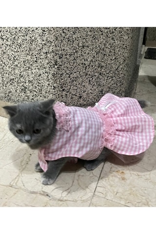 Pembe Beyaz Kareli Kurdeleli Kedi Köpek Kıyafeti Xsmall/xs/beden0