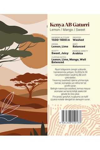 Kenya Ab Gaturri Yöresel Filtre Kahve 250 Gr. Çekirdek Kahve
