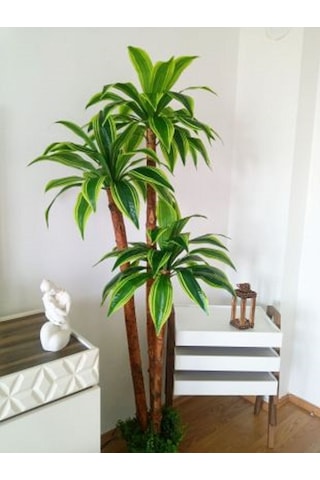 Yapay Yuka Yucca Ağacı 3 Gövdeli 1.80 Mt Boy Islak Doku