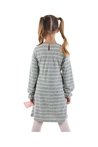 Denokids Ayıcık Kız Çocuk Çizgili Elbise Renkli Çok Renkli