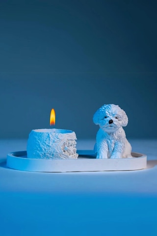 Sevimli Köpek Dekoratif Mumluk Set Çok Renkli