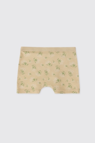 Panço Kız Çocuk Sarı 3'lü Boxer Seti 2612gk14002