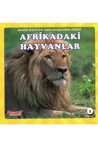 +4 Yaş Benim Hayvan Arkadaşlarım Dizisi 4’Lü Kitap Seti Yumurcak