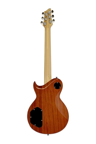 Aria Pro Iı Pe480bs Elektro Gitar