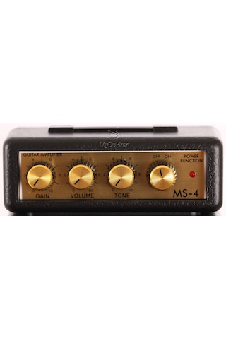 Marshall MS-4 Çift Kabinli Mikro Amfi