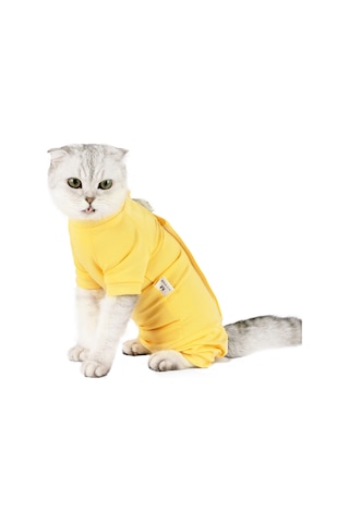 Hombey Kedi Ameliyat Sonrası Kıyafeti - Yara Koruması Ve Yalama Engelleme - Modal Dokuma - Sarı L Ya001j061