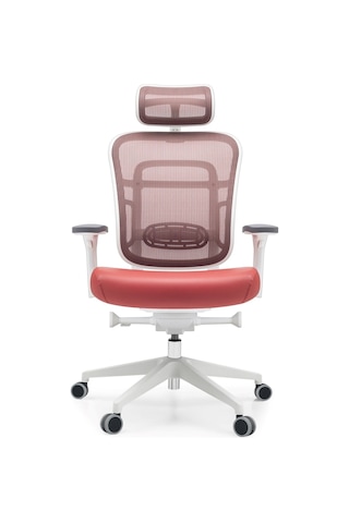 Passion Oyuncu Koltuğu Ofis Çalışma Makam Koltuğu