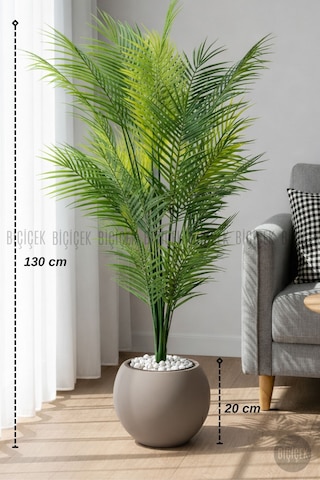 Areka Ağacı 24 Yapraklı 130 Cm Küre Saksıda Kahverengi