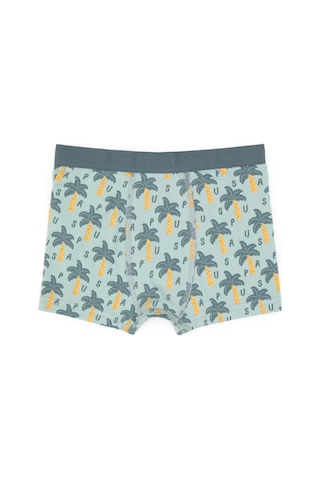 U.S. Polo Assn. Erkek Çocuk 3'lü Boxer Takım 50319388-VR048