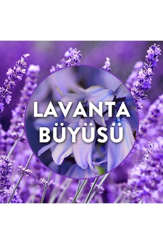 Air Wick Elektrikli Oda Kokusu Yedek Şişe Lavanta Bahçesi 19 Ml