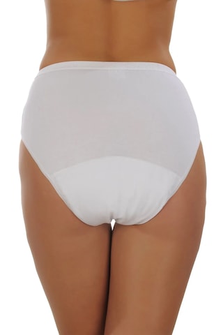 Camelia Emici Ve Koruyucu Yıkanabilir Külot Xxl Beyaz