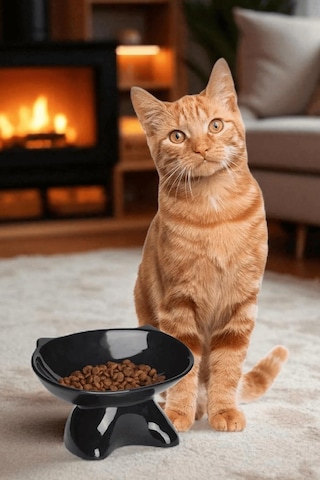 İliva Siyah Özel Tasarım Lüks Kedi Mama Kabı