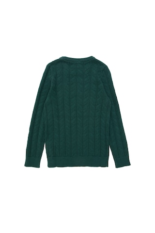 U.S. Polo Assn. Erkek Çocuk Koyu Yeşil Basic Bisiklet Yaka Kazak 50293551-VR079