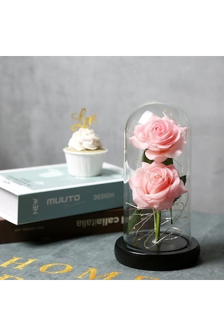 Novahub Cam Kubbe Kutuda Yapay Gül Led Işıkla, Sonsuza Kadar Gül Çiçeği Anneler Günü Sevgililer Günü Düğün Festivali Yıldönümü Hediyesi