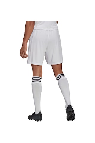 Adidas Squad 21 Sho Erkek Futbol Maç Şortu Gn5774 Beyaz 001