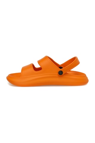 Proshot Ps172 3fx Turuncu Erkek Sandalet 000000000101480235 Turuncu