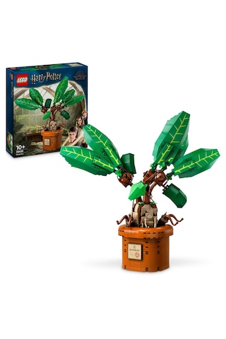 LEGO® Harry Potter 76433 Adamotu 579 Parça