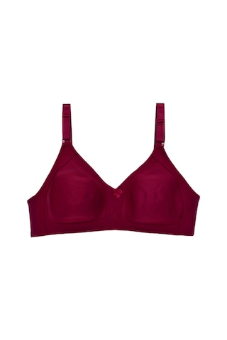 Kadın Toparlayıcı Desteksiz C Cup Sütyen Bgl-st04732 bordo