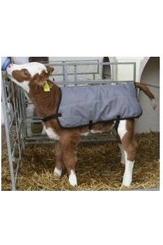 Milkivit Kuzu - Buzağı - Oğlak Maması 1 Adet 3 KG Çuval