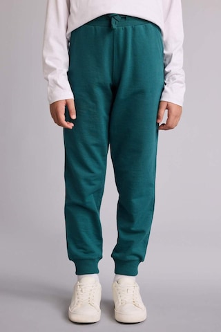 Defacto Regular Fıt Sweatshirt Kumaşı Pantolon Erkek Çocuk G0866a826spgn756 Yeşil-gn756