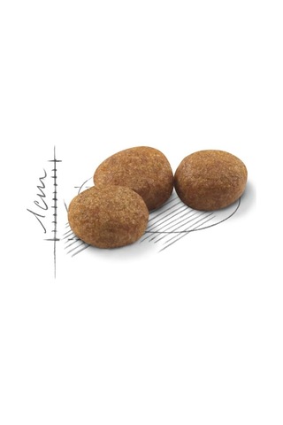 Sterilised Kısır Kedi Maması 2kg
