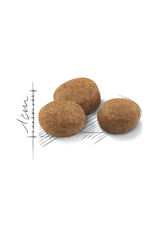 Royal Canin Sterilised 7+ Kısırlaştırılmış Yaşlı Kedi Maması 1500 G
